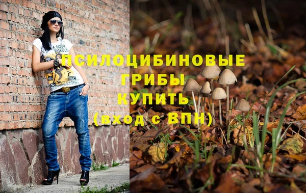гидра Балахна