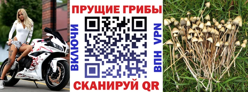 Галлюциногенные грибы мухоморы  Ульяновск 