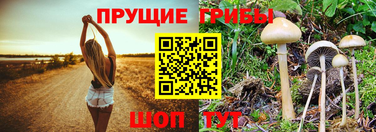 Галлюциногенные грибы ЛСД  Вход с VPN  Ульяновск  Галлюциногенные грибы MAGIC MUSHROOMS 