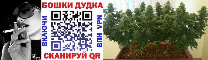 Канабис план  Ульяновск 